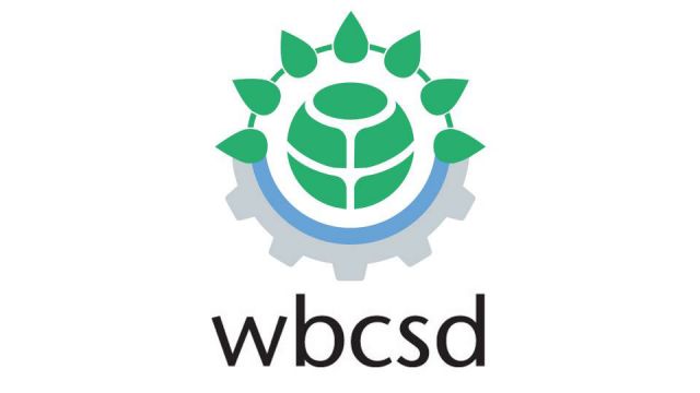 17 member companies of the WBCSD participated in a sustainability audit