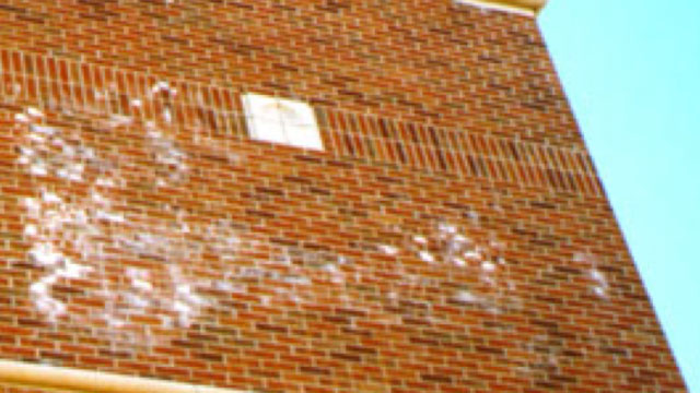 Masonry efflorescence.