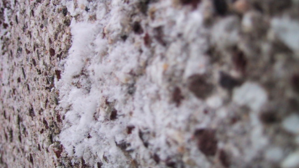 Close-up views of early-age efflorescence showing crystalline structure and needle-like forms.