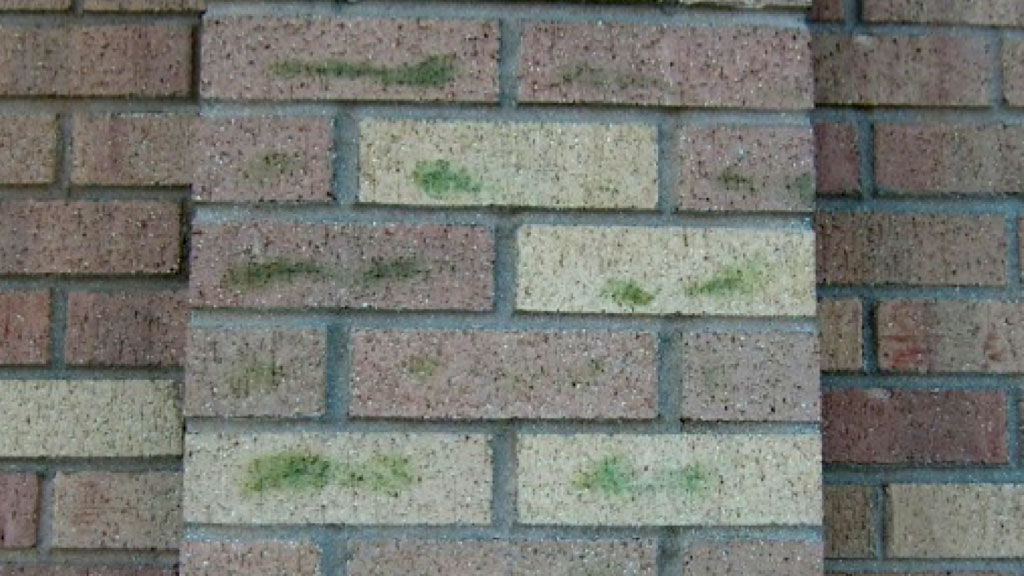 Green vanadium-based efflorescence and brown magnesium salts form almost exclusively as a result of acid washing.