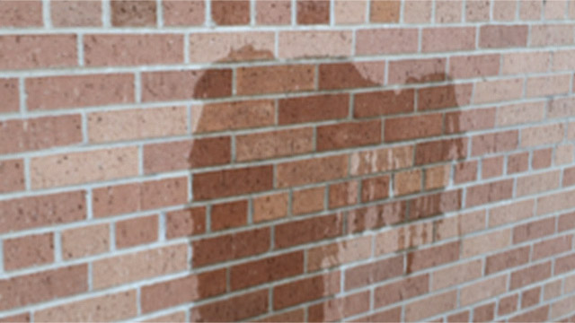 These bricks absorb water and darken. They are good candidates for stain.