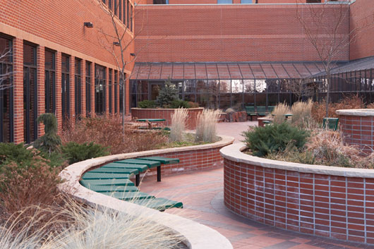 United Medical Center Courtyard