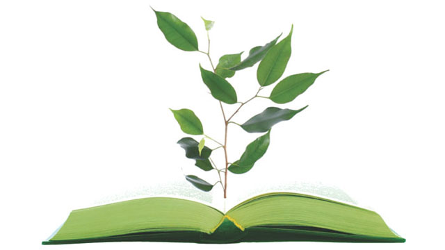 Introduction to Green Building and the International Green Construction ...